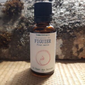 Bourgeon de Figuier bio 30ml